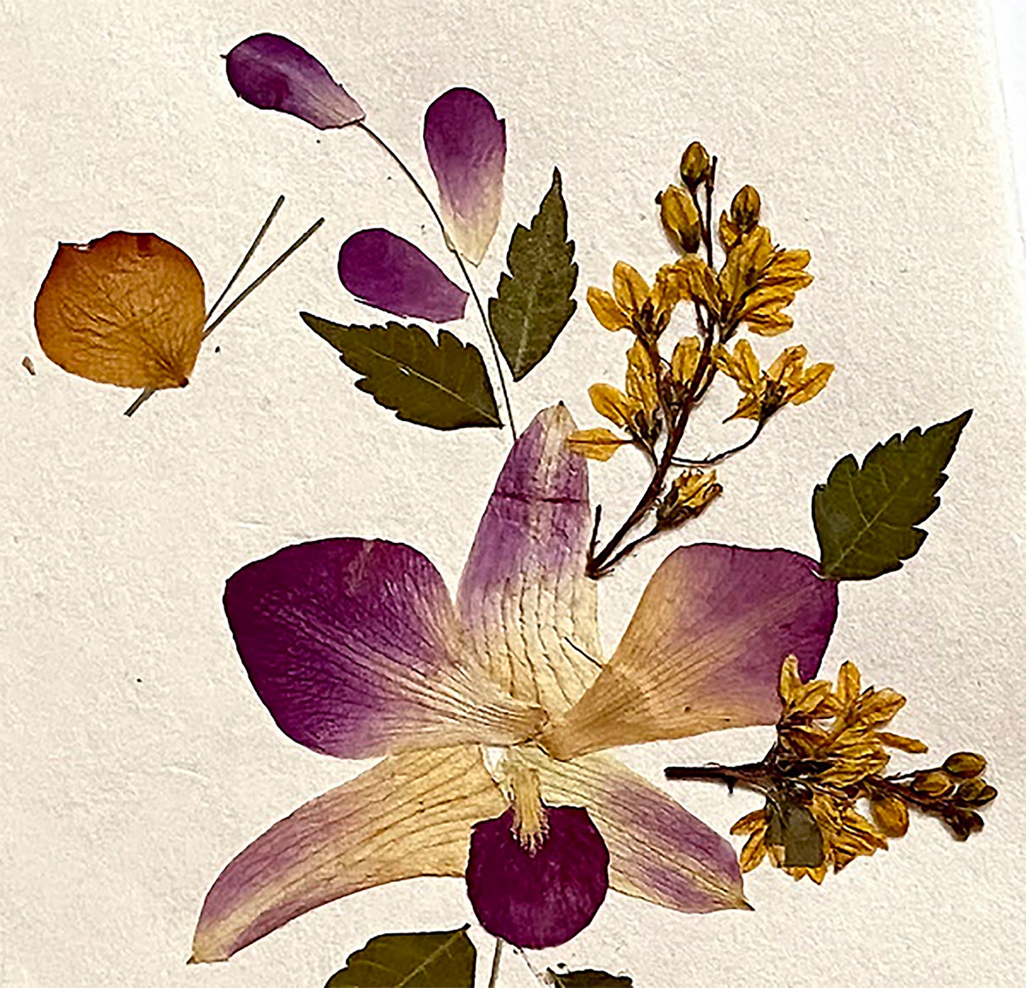 Handmade Mulberry Paper Greeting Card 5x7 Inch Random Pack (3 Orchid Sonia)