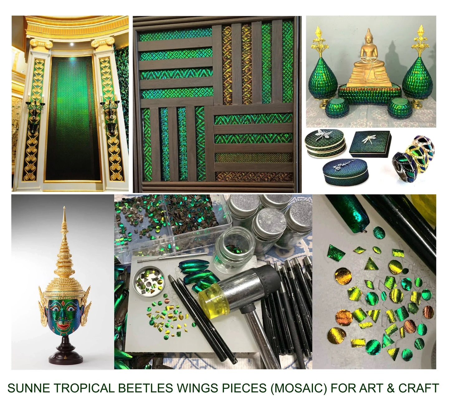 Jewel Beetle Wings UNDRILLED NO-HOLE 100 Pcs Natural Wings - PENTAGON 5 MM
