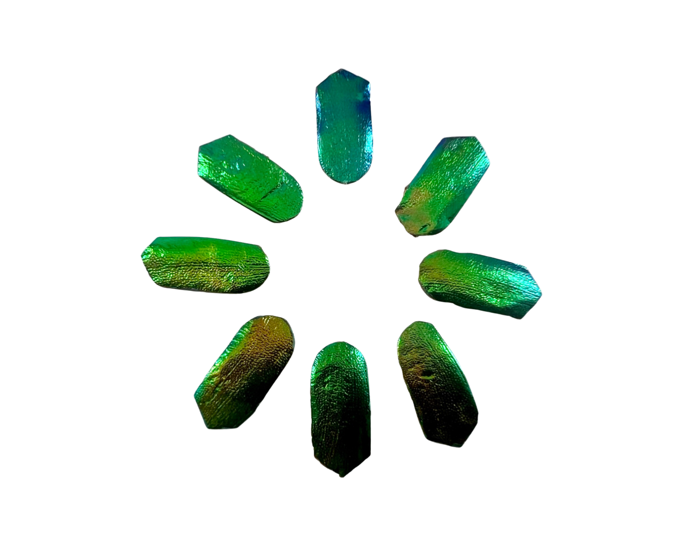 Jewel Beetles Wings UNDRILLED NO-HOLE 100 Pcs for Art & Craft (Tile Point 1 X 2 CM)