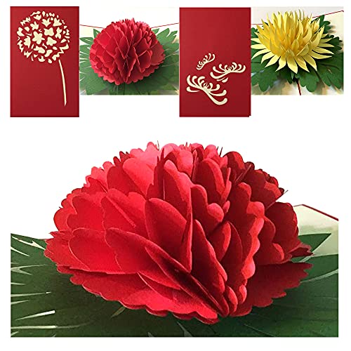 (2 Cards Pack) 3D Pop Up JUMBO FLOWER POP Greeting Card 5x7 Inch 12.7 cm - Dahlia and  Chrysanthemum