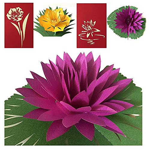 (2 Cards Pack) 3D Pop Up JUMBO FLOWER POP Greeting Card 5x7 Inch 12.7 cm Tropical Flowers Narcissus Lotus Daffodil