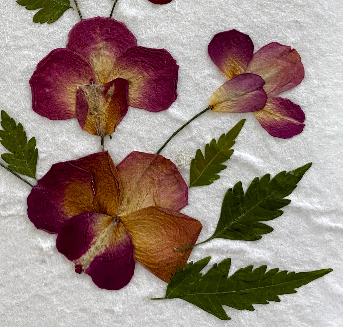 Handmade Mulberry Paper Greeting Card  5x7 Inch Random Pack (3 Rose Petal)