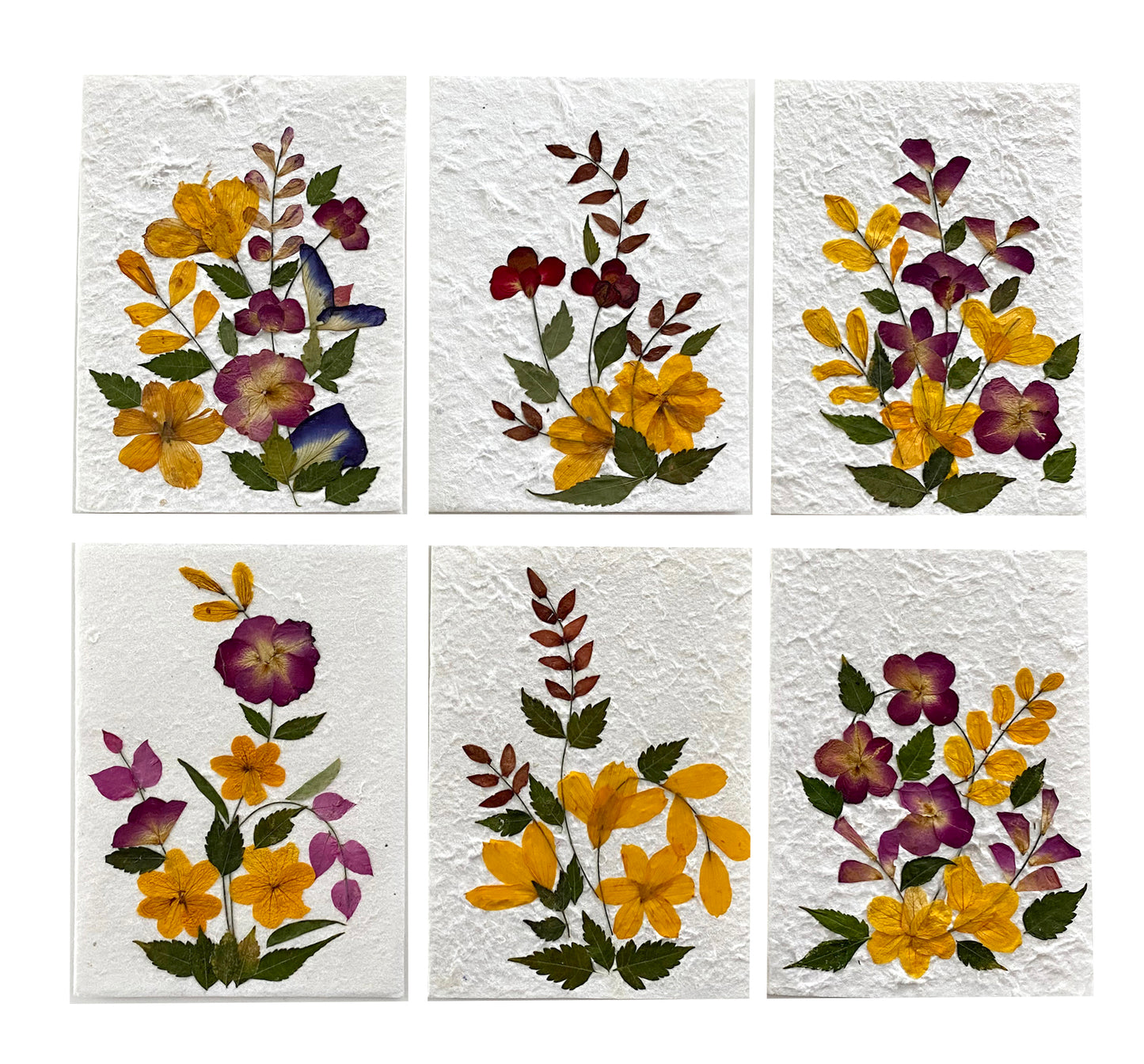 Handmade Mulberry Paper Greeting Card  5x7 Inch Random Pack (3 Yellow Wild Flower)