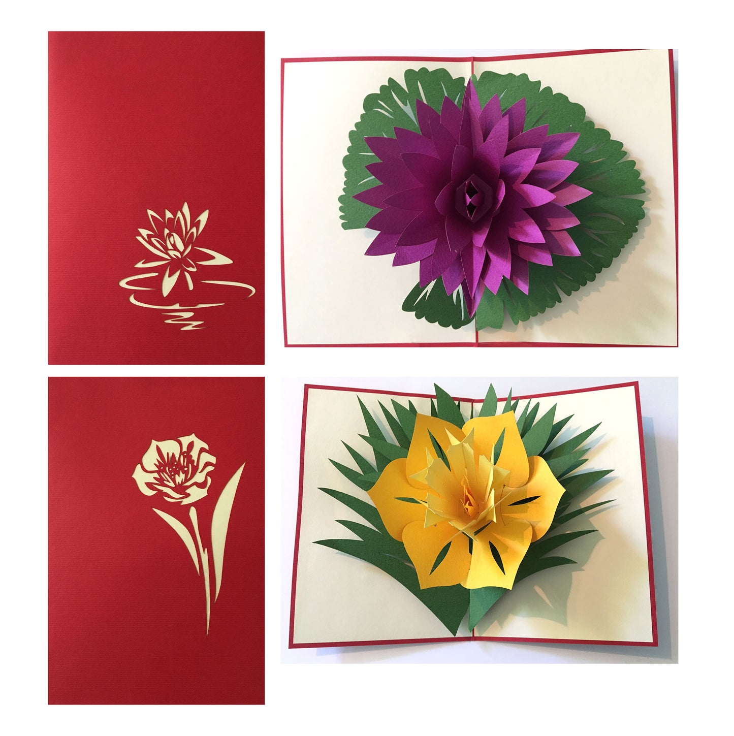 (2 Cards Pack) 3D Pop Up JUMBO FLOWER POP Greeting Card 5x7 Inch 12.7 cm Tropical Flowers Narcissus Lotus Daffodil