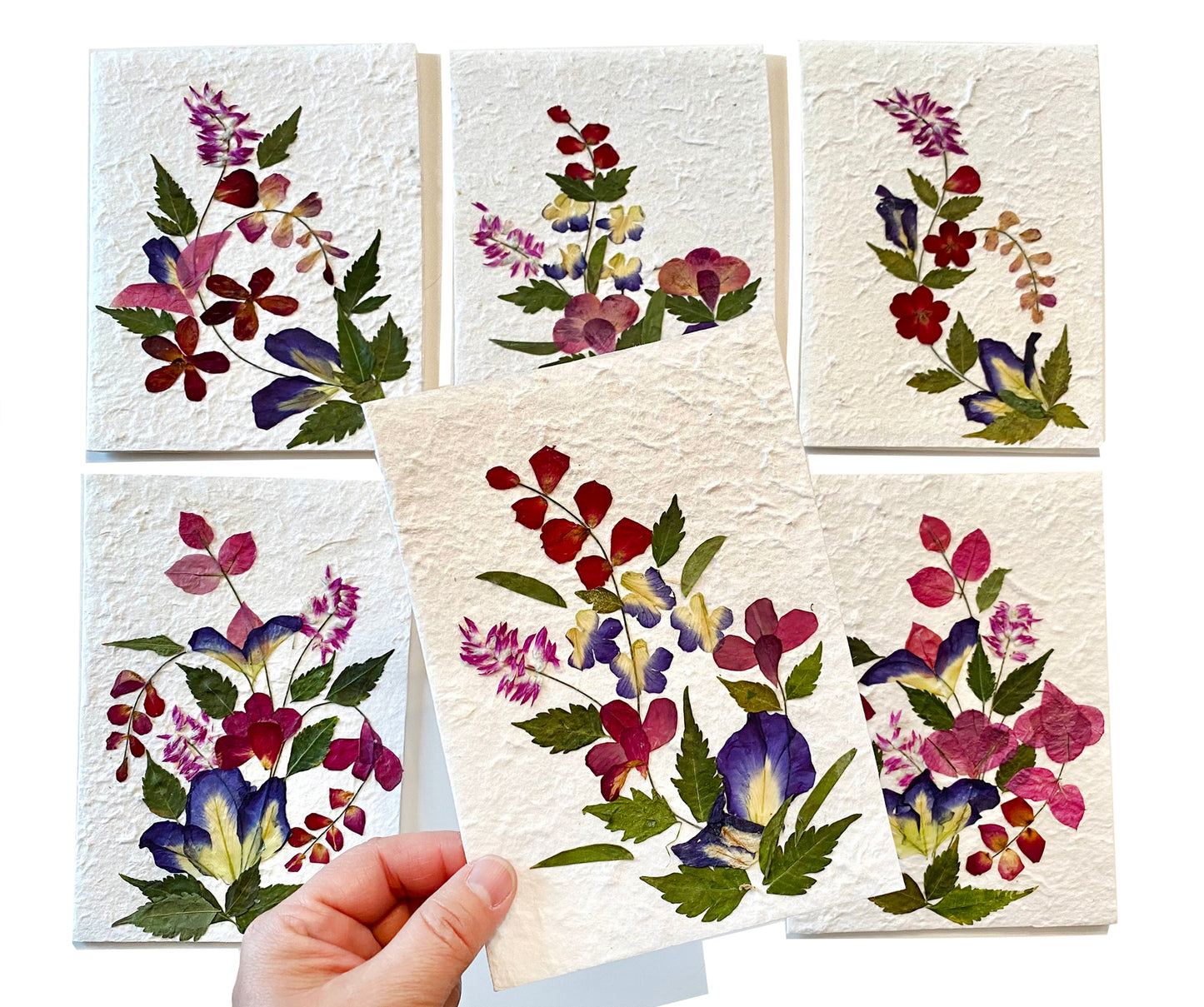 Handmade Cards 5x7 inch Real Dried Flowers Random Pack (3 Butterfly BLUE PEA)