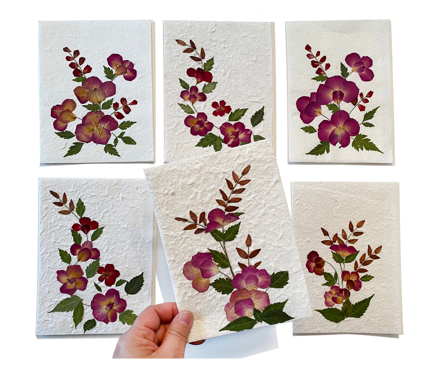 Sunne Tropical 3 Cards Random Pack Handmade Mulberry Paper Greeting Card 5x7 Inch Real Pressed Flowers - Rose Petal