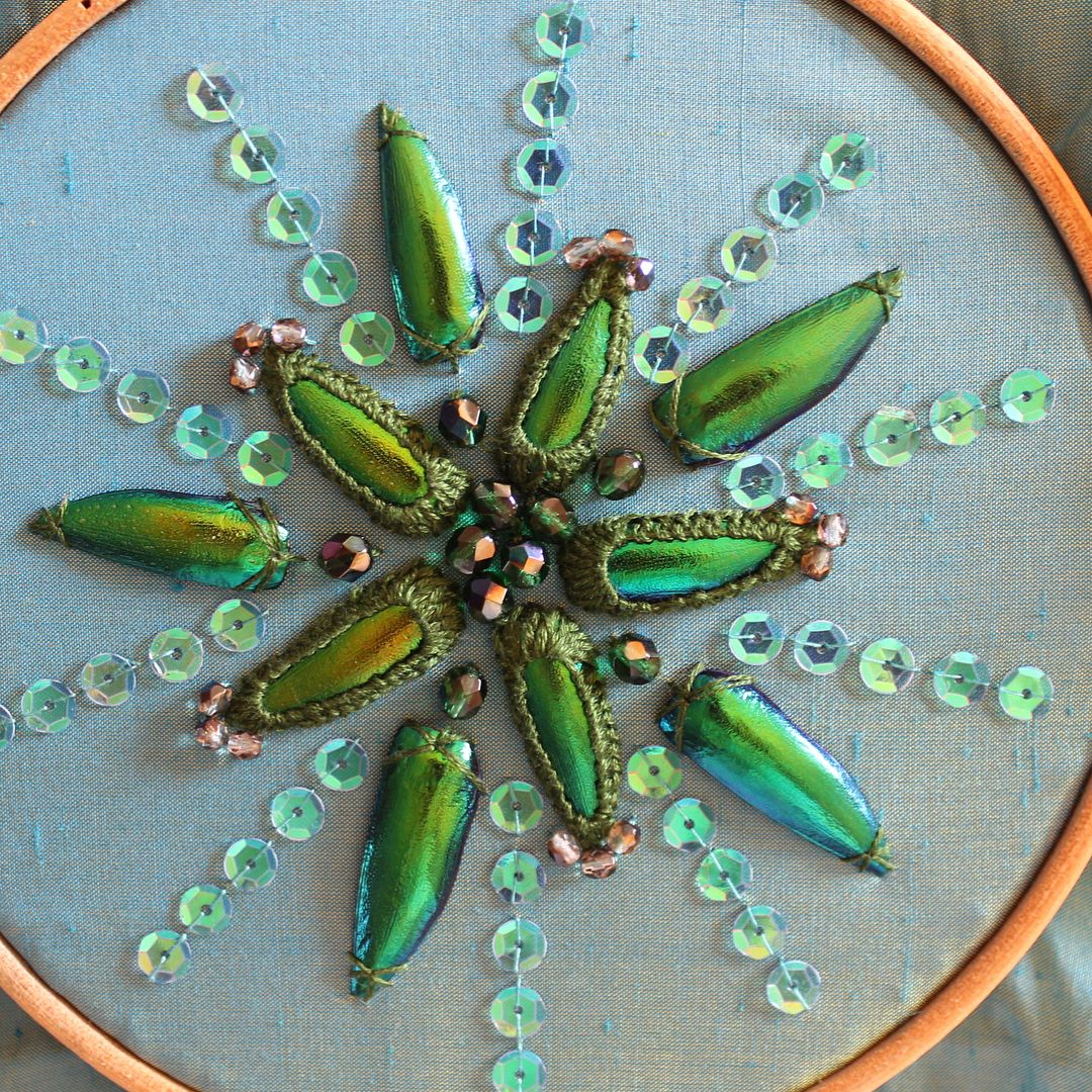 Jewel Beetle Wings DRILLED with HOLE 100 Pcs Natural Wings - Green 2holes A