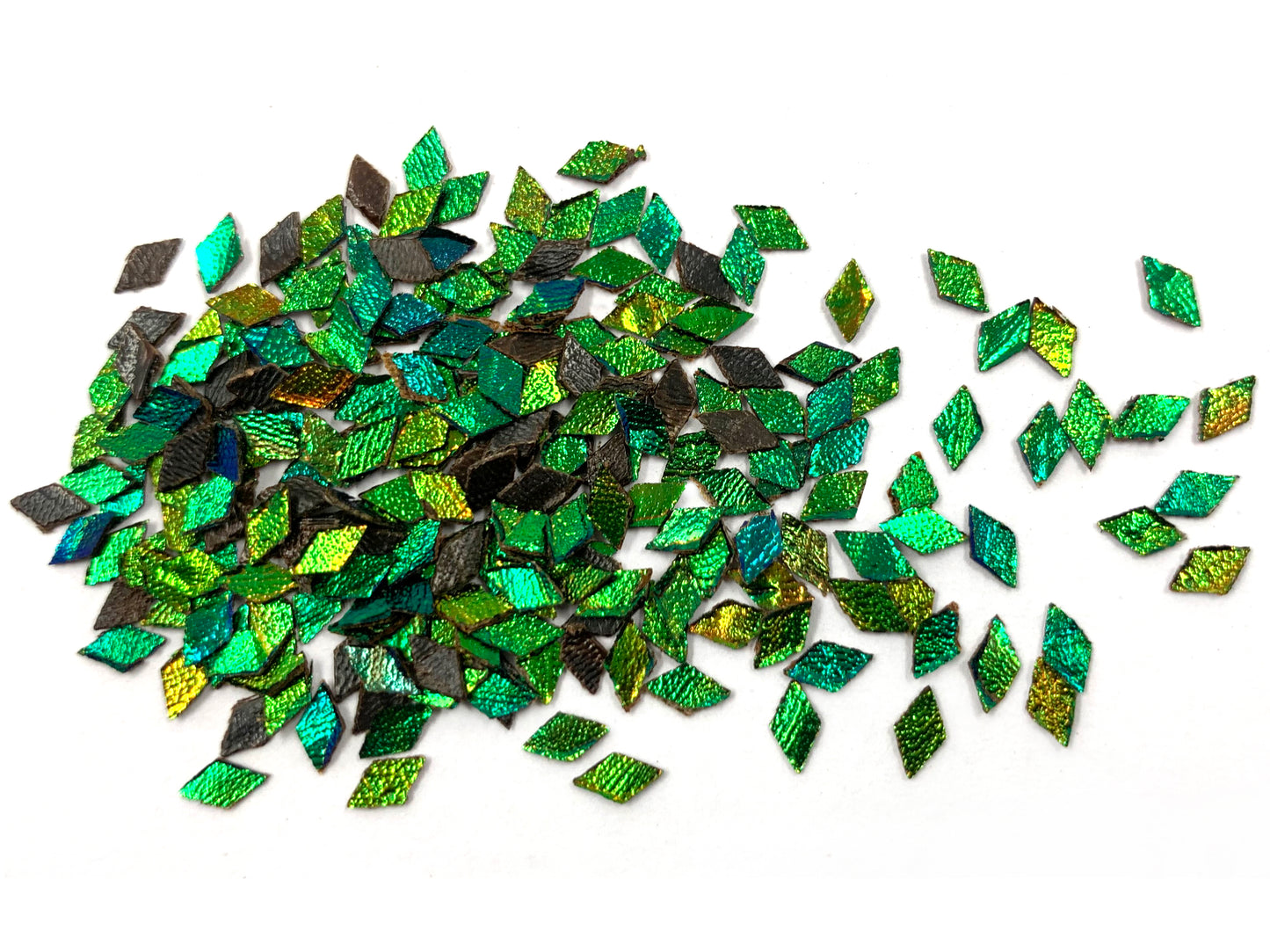 Jewel Beetle Wings UNDRILLED NO-HOLE 100 Pcs Natural Wings - Rhombus 4 X 6 MM