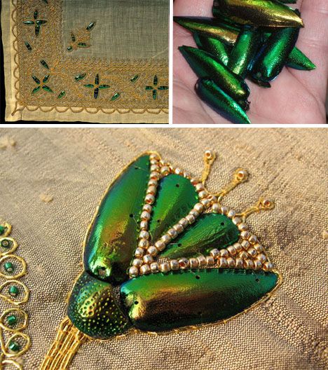 Jewel Beetle Wings DRILLED with HOLE 100 Pcs Natural Wings - REDDISH Green TOP 2